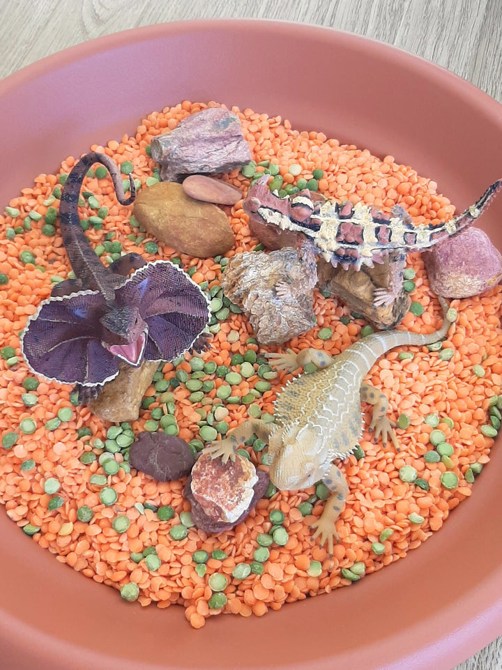 Australian lizard set of outback reptiles toy figurines very realistic and detailed for small world play