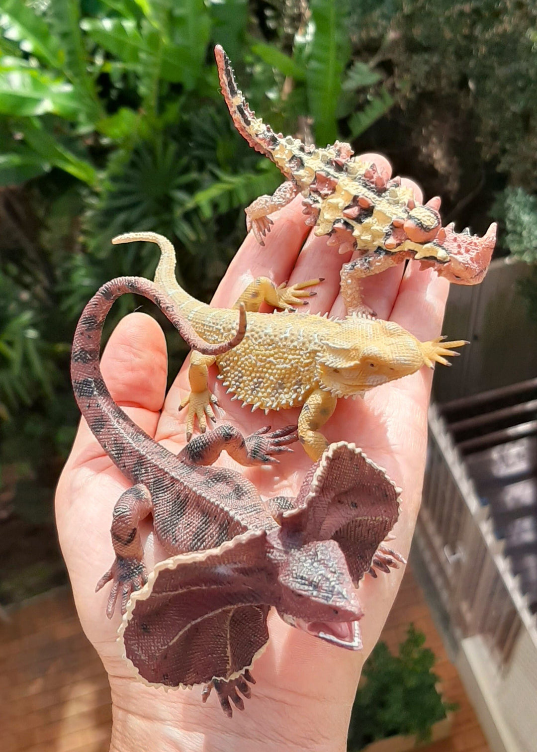 Australian Outback Lizard Dragons Reptiles Thorny DevilFrill-Neck Bearded detailed realistic toy figurines