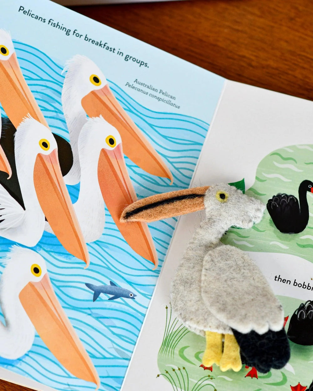 pelican puppet australia birds finger puppets set busy beaks book sarah allen tara treasures bookish play ideas aussie kids