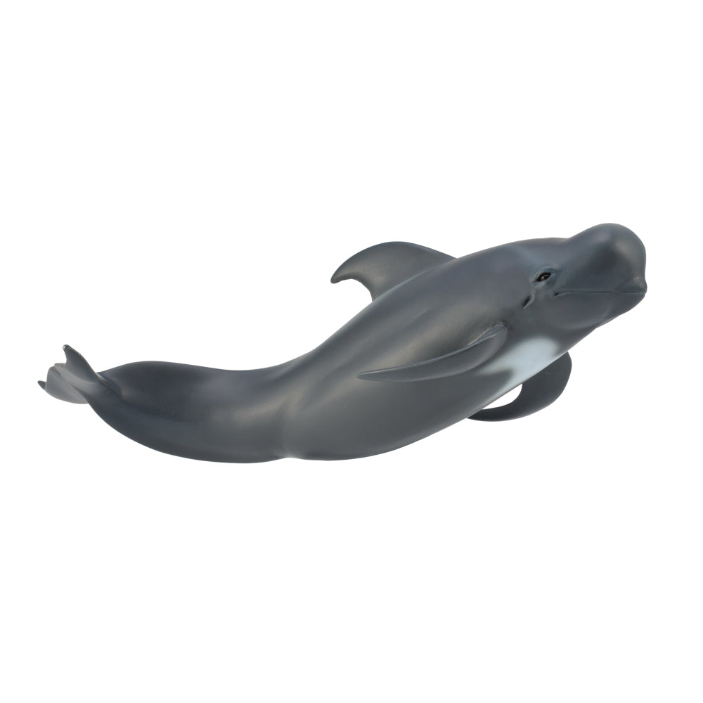 pilot whale model australia figurine realistic lifelike detailed collectA 