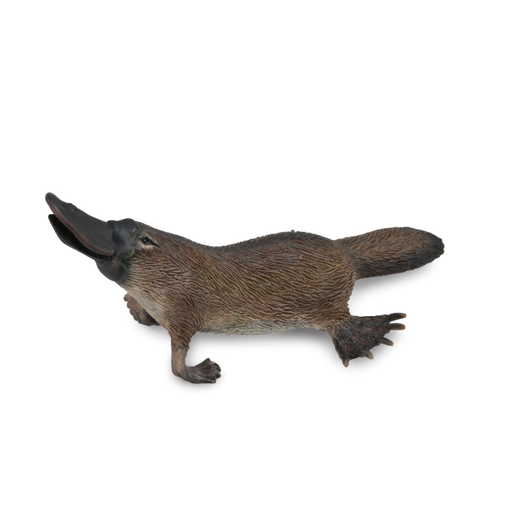 platypus figurine CollectA Schleich Australia realistic detailed native