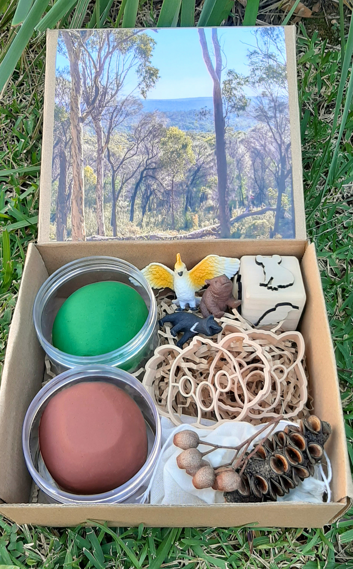 playdough activity kit sensory australia aussie animals cutters dough stamp bush cockatoo