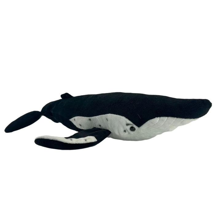 Humphrey the Humpback Whale - 49cm