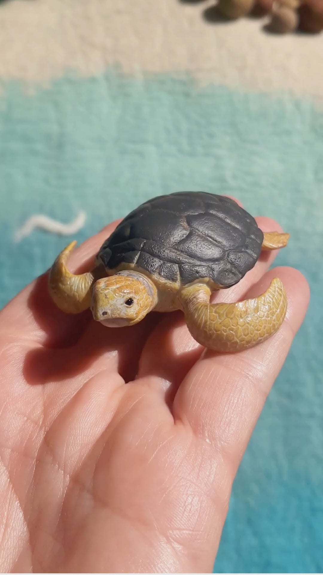 video showing detail of realistic loggerhead turtle figurine