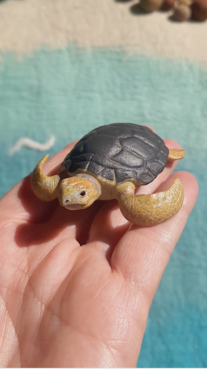 video showing detail of realistic loggerhead turtle figurine