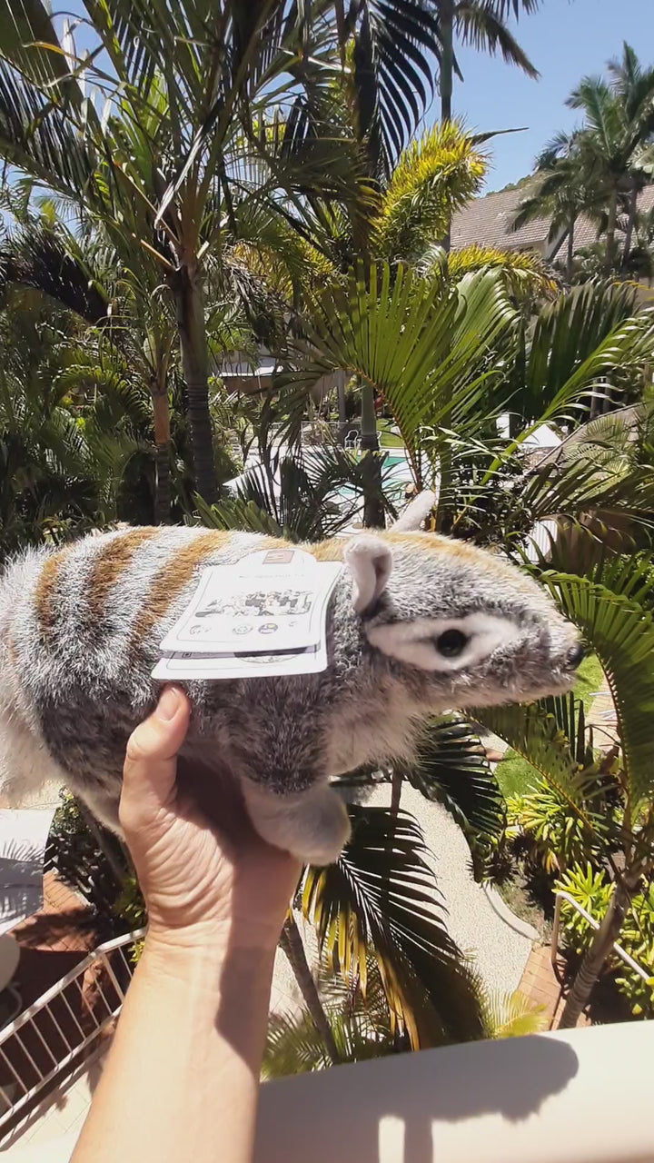 Sherbet the Numbat - 33cm