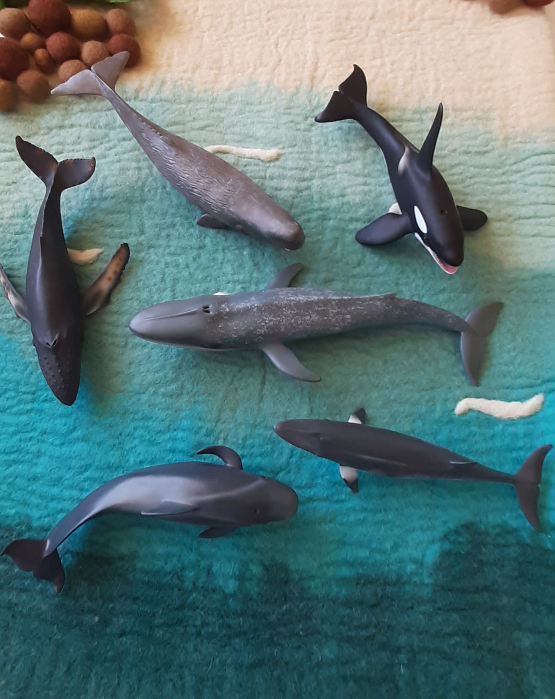 whale toy figurines Australia lifelike realistic detailed model humpback sperm blue southern right orca