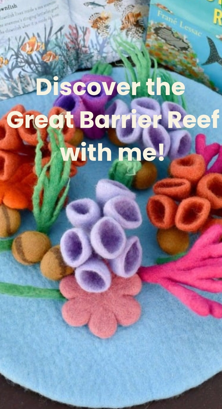 felt great barrier reef playscape play mat small world base Australia Tara Treasures