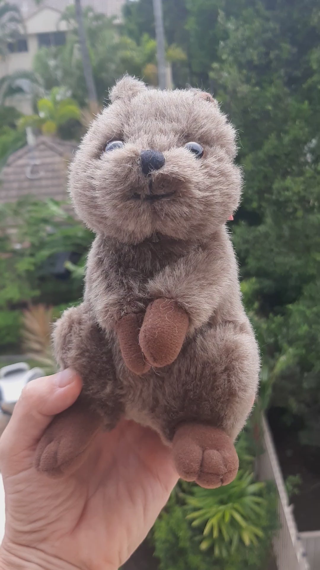 quokka_video_cute_australian_animal_stuffed_plush_toy