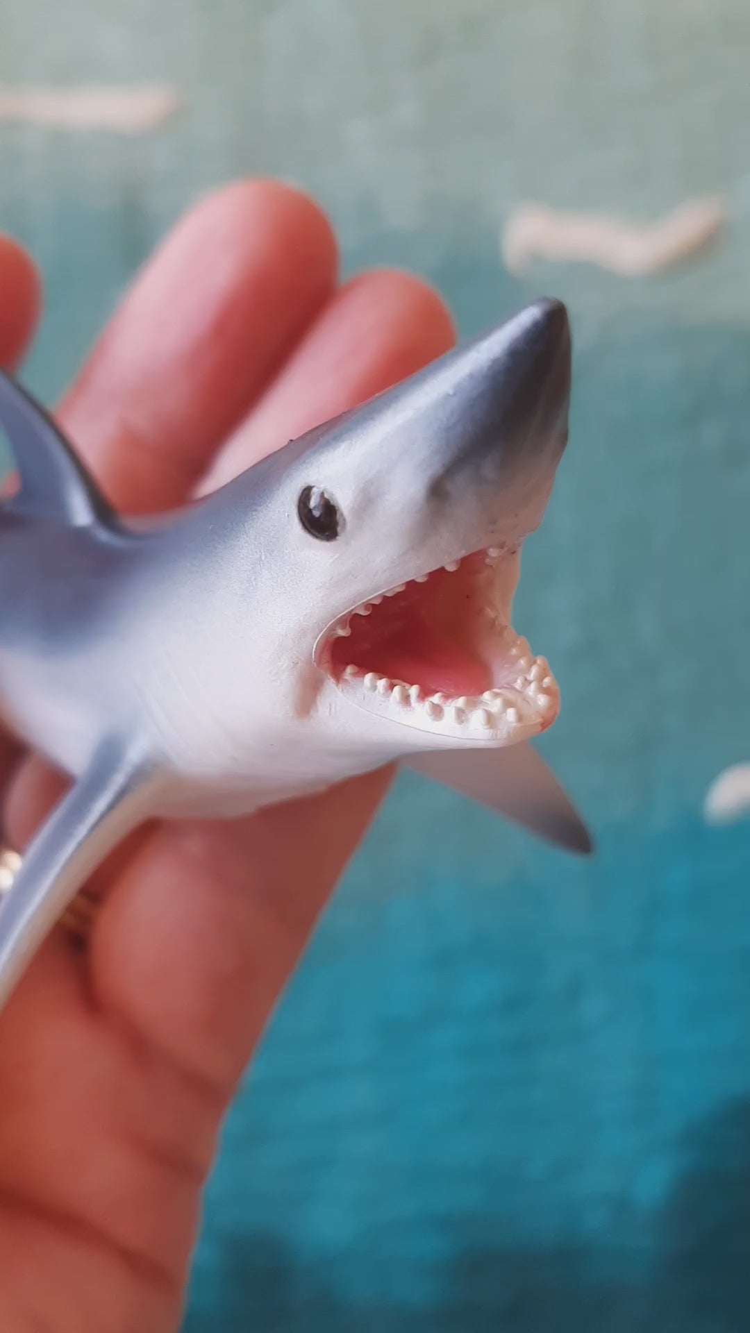 Australia shark toy lifelike realistic real mako model figurine schleich collectA