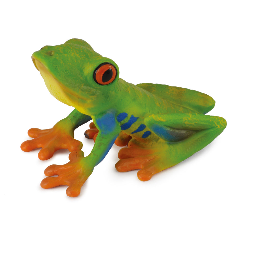 realistic Australian animals figurine toy red eyed tree frog CollectA Schleich 88386 CO88386