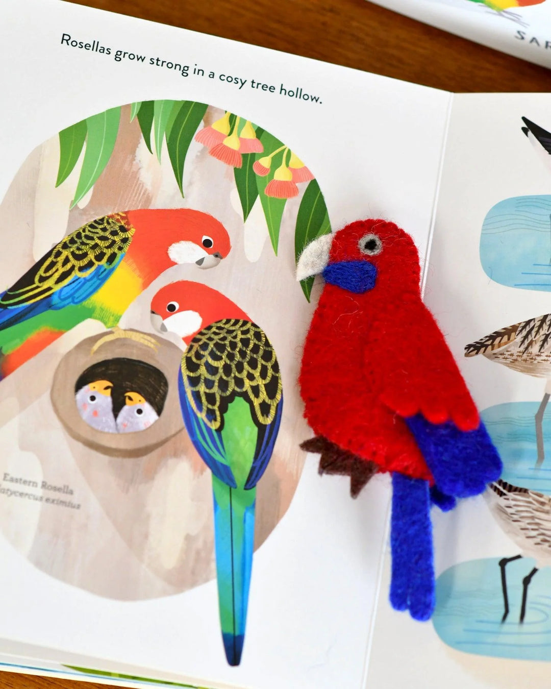 rosella puppet australia finger puppets birds parrot lorikeet pelican magpie kookaburra Busy Beaks Book sarah allen tara treasures