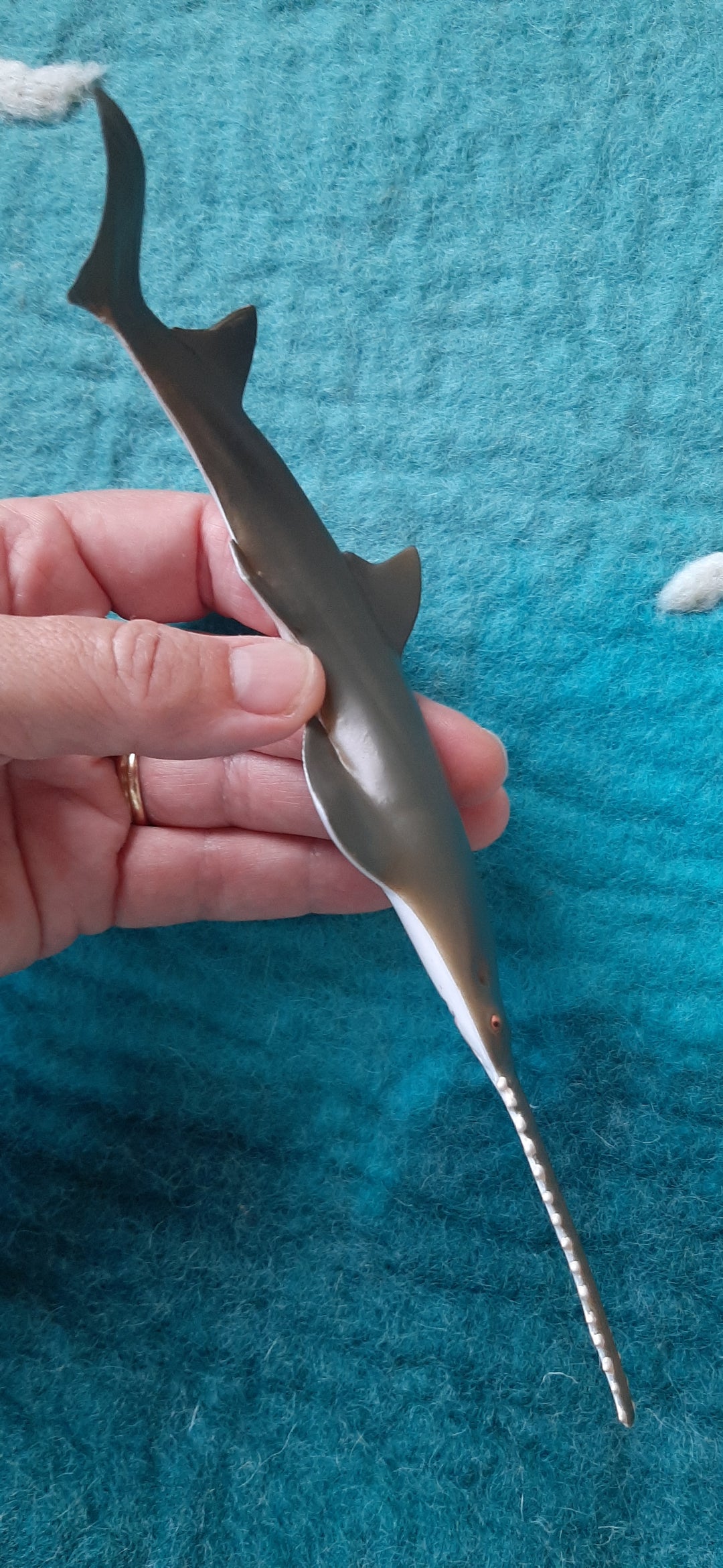 sawfish Australia model collectA realistic lifelike native wildlife