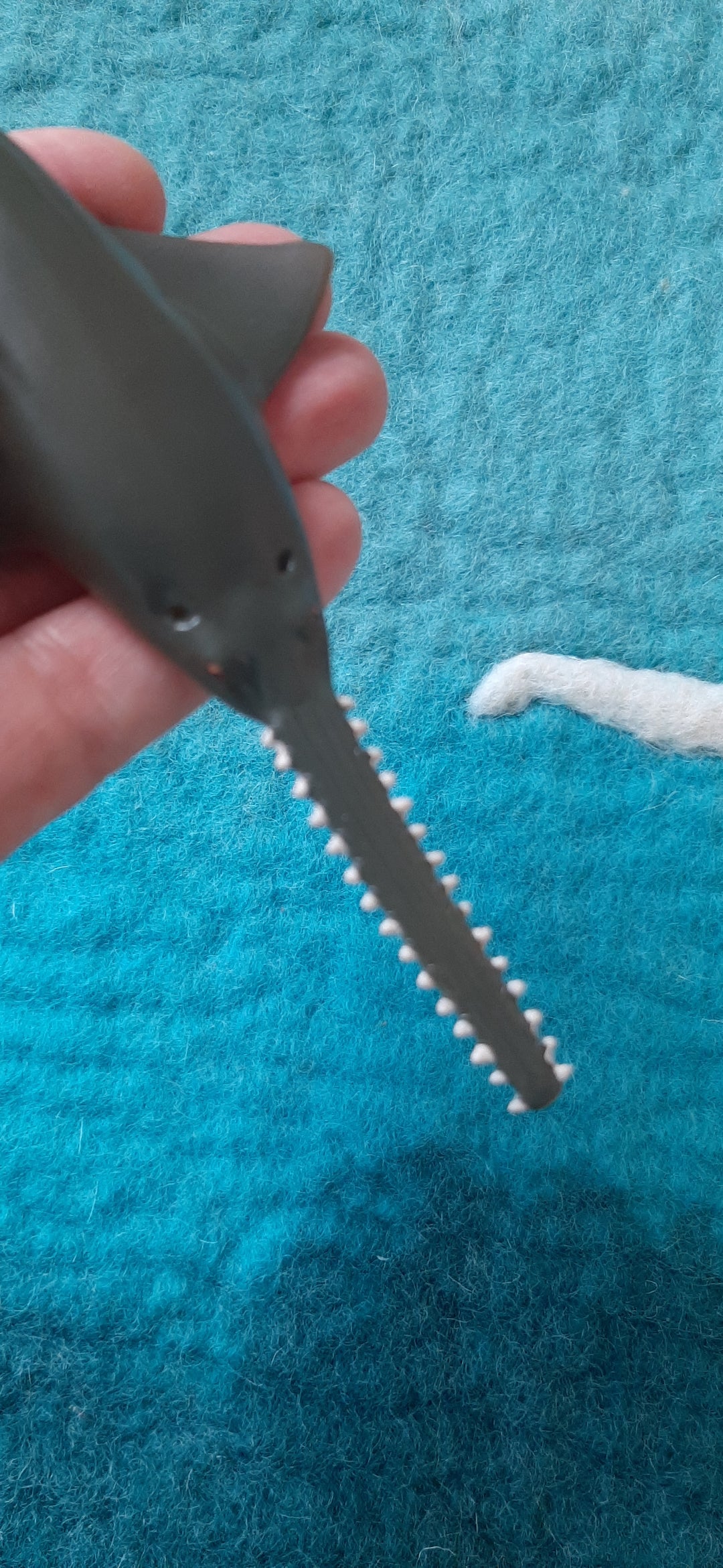sawfish australia model lifelike realistic collectA detailed collectA