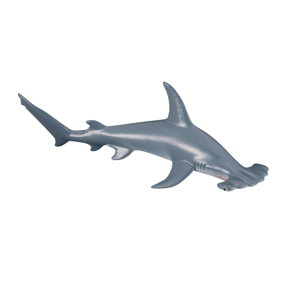 scalloped hammerhead shark Australia CollectA CO88045 88045 detailed realistic shark Schleich