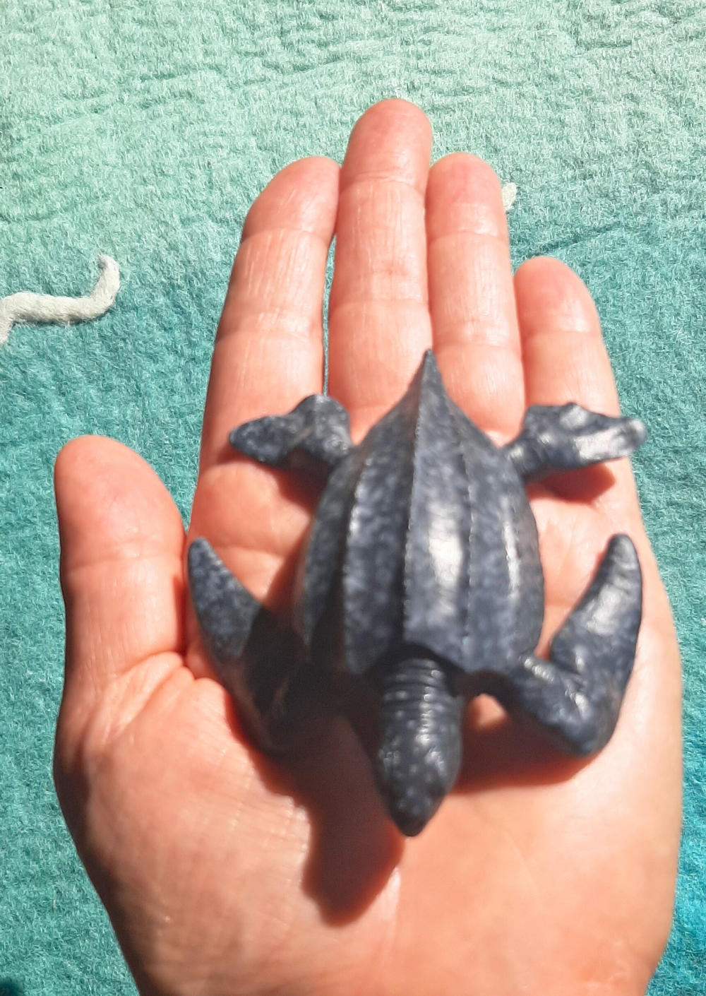 Leatherback sea turtle toy realistic & detailed native Australian turtles