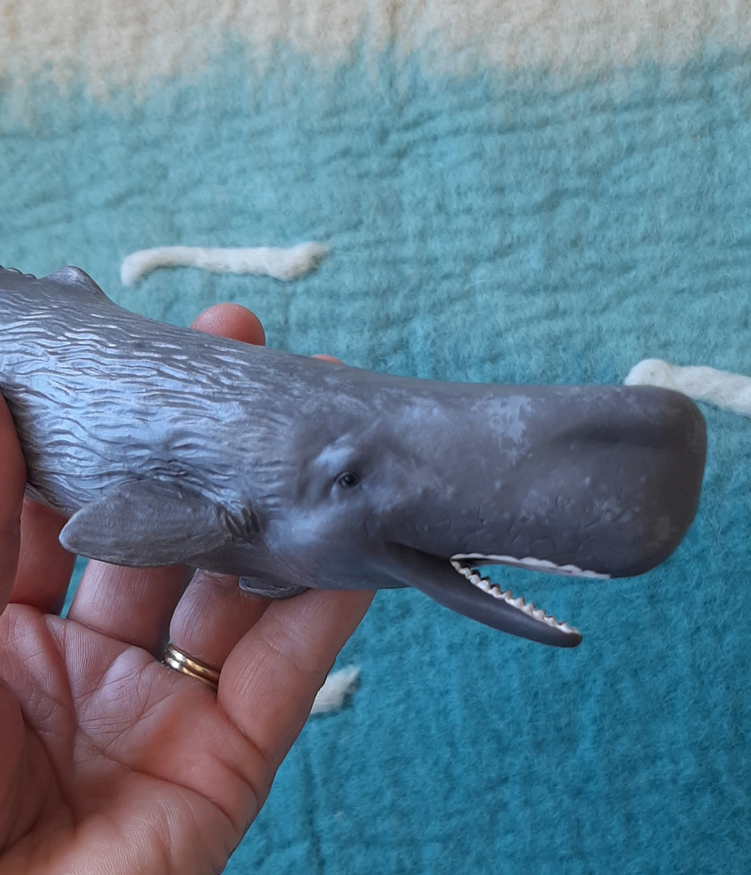 sperm whale model australia toy figurine collecor realistic lifelike detailed