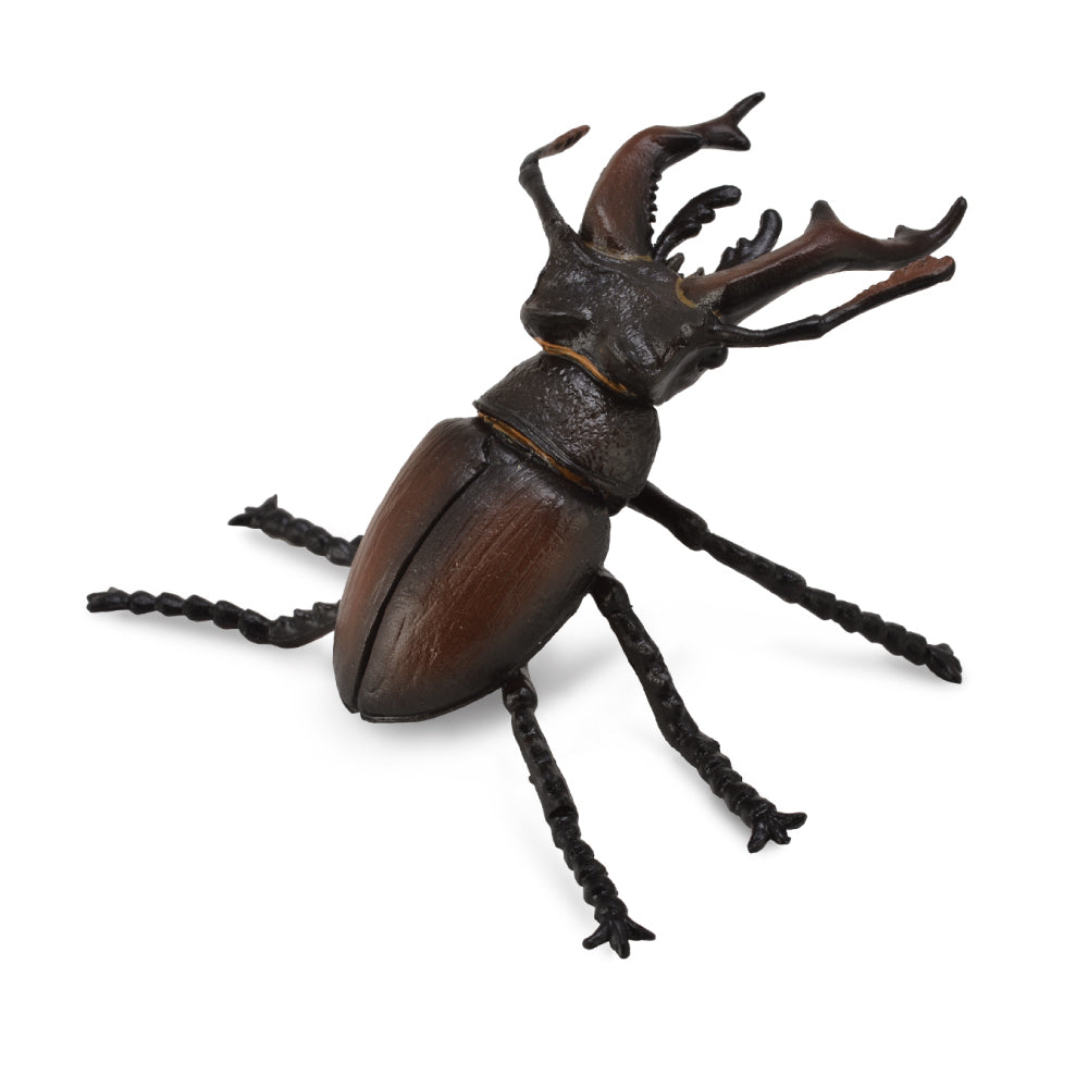 stag beetle Australia CollectA figurine realistic mini zoo detailed bugs