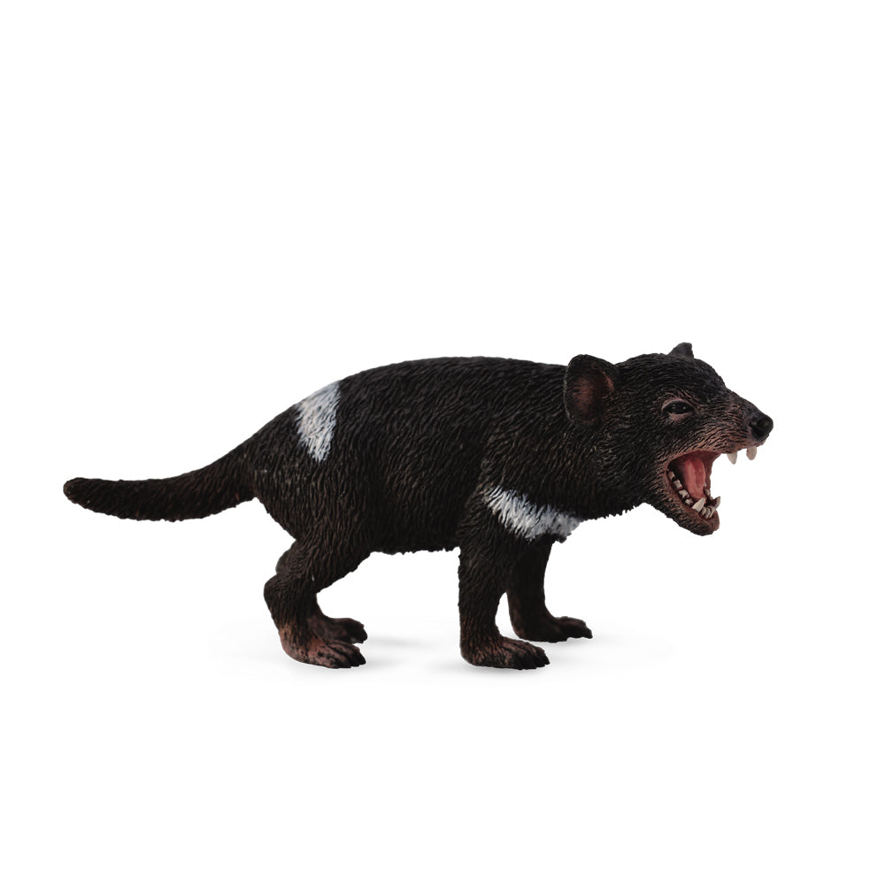 tasmanian devil figurine realistic Australia CollectA Collect A Schleich sale CO88656 886565 detailed realistic native animals