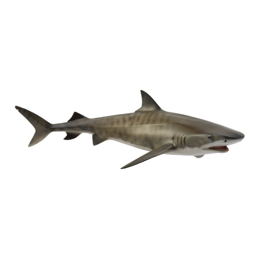 tiger shark CollectA Australia Collect A realistic sharks 88661 CO88661 Schleich