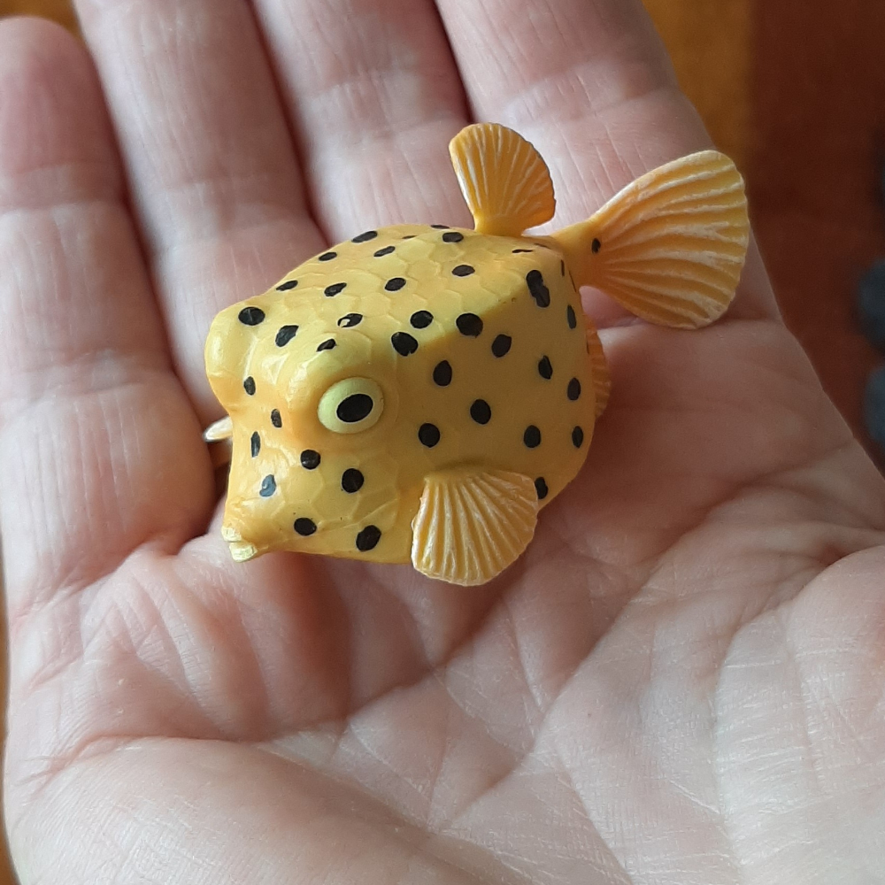 tropical fish toy Australia barrier reef boxfish figurine collector collectible model small world play