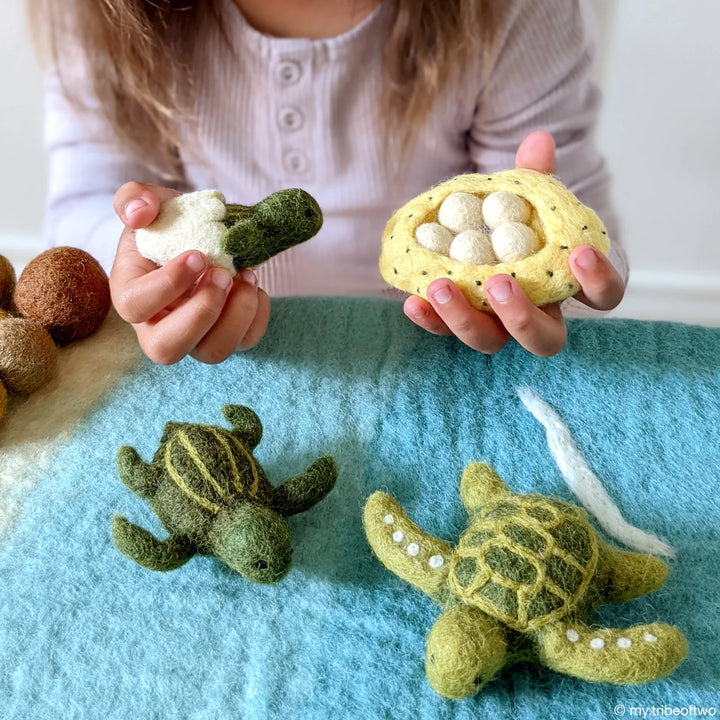 turtle life cycle felt toys green sea turtle australian animals