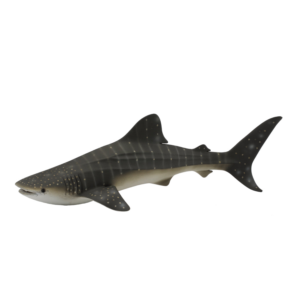 whale shark collectors figurines toy CollectA Australian native animals Schleich 88453 CO88453 detailed realistic sharks