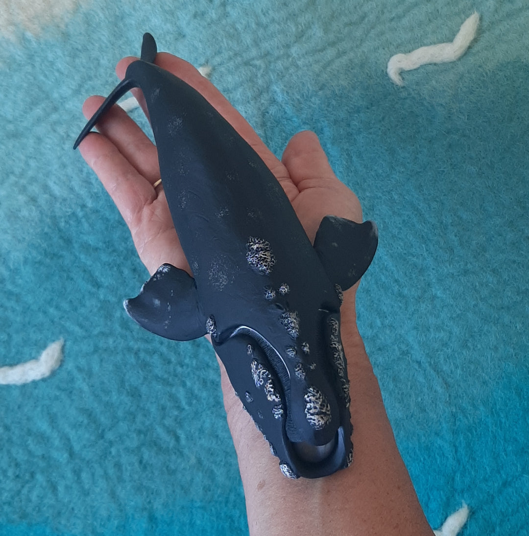 whale model Australia toy figurine large right whales dolphin lifelike realistic real