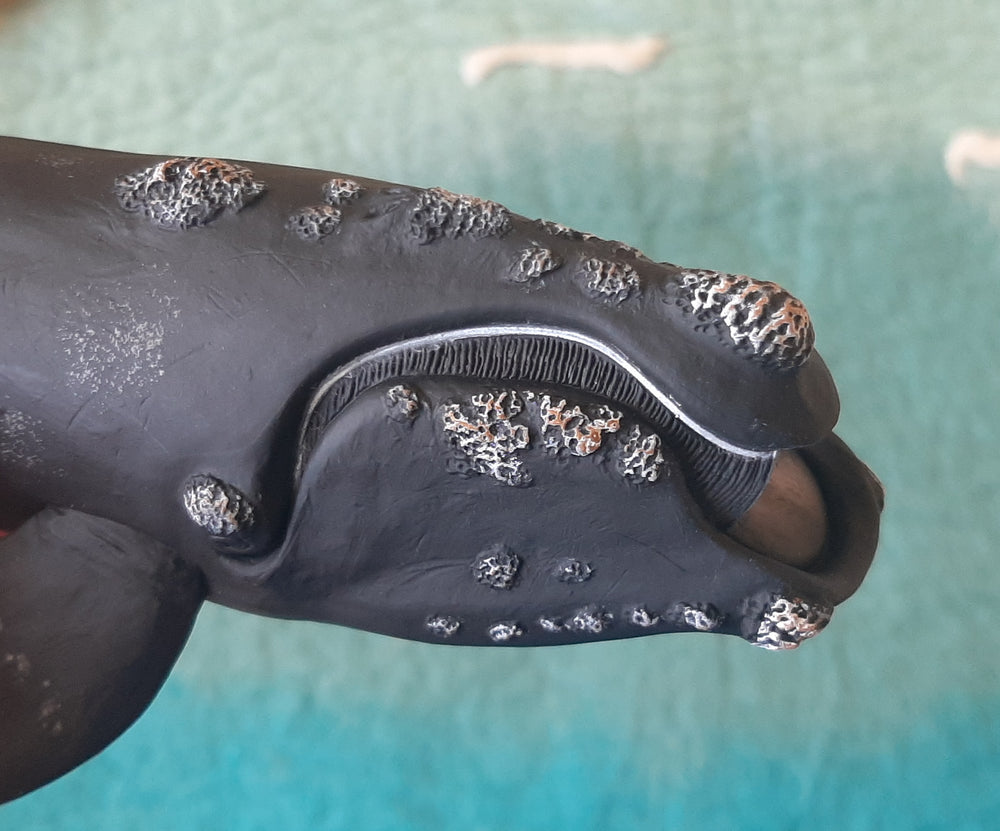 whale toy australia kids realistic lifelike southern right humpback figurine